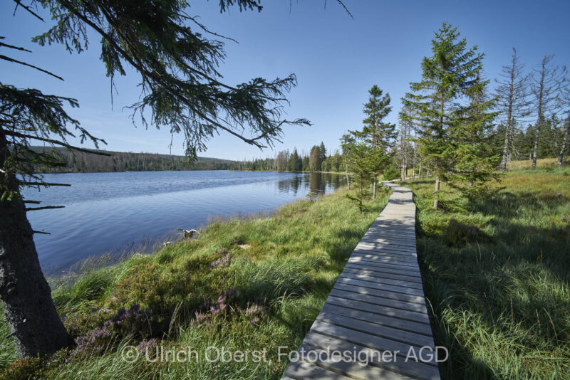 Nationalpark Harz Oderteich