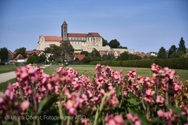 Quedlinburg, Abteigarten mit Schlossberg