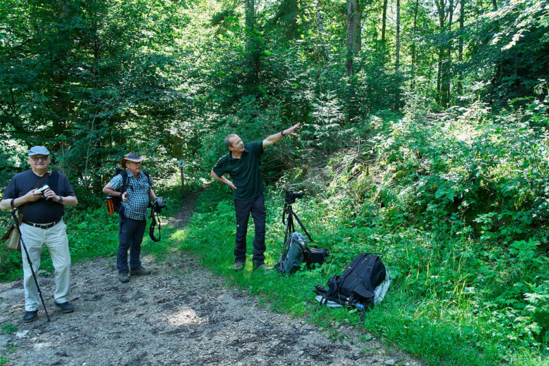 In Deutschlands größtem Canyon - Unterwegs mit dem Wutachranger - gerne mit Partner/in – Bild 3