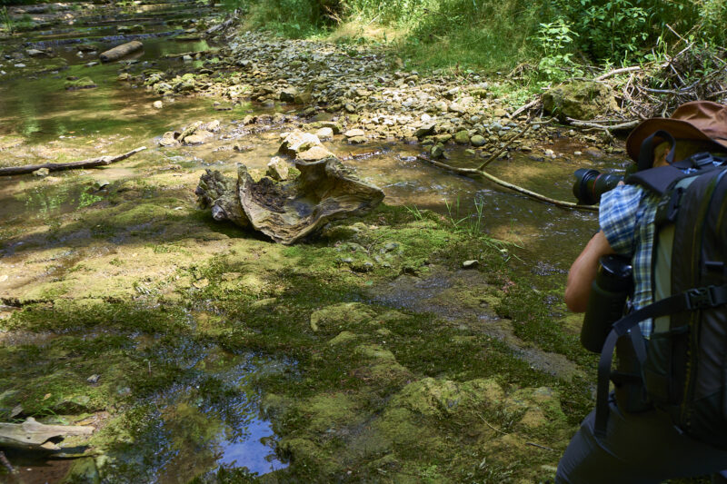 In Deutschlands größtem Canyon - Unterwegs mit dem Wutachranger - gerne mit Partner/in – Bild 40