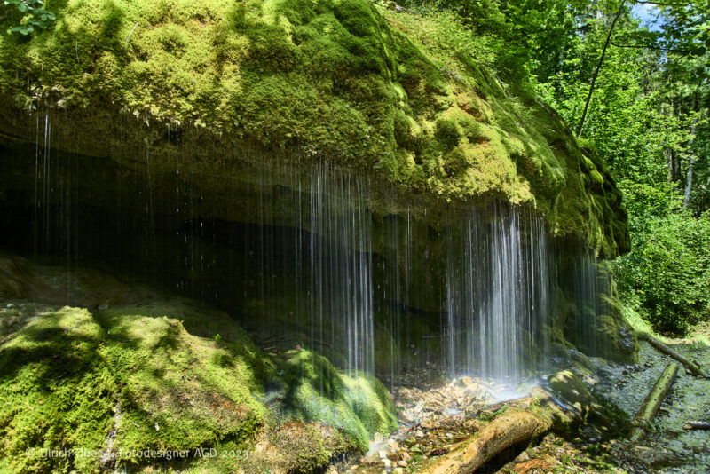 In Deutschlands größtem Canyon - Unterwegs mit dem Wutachranger - gerne mit Partner/in – Bild 33