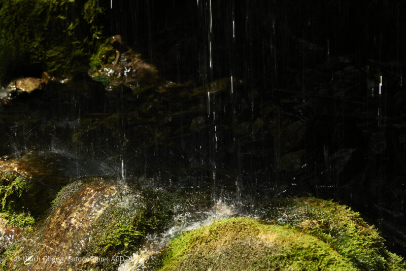 In Deutschlands größtem Canyon - Unterwegs mit dem Wutachranger - gerne mit Partner/in – Bild 31
