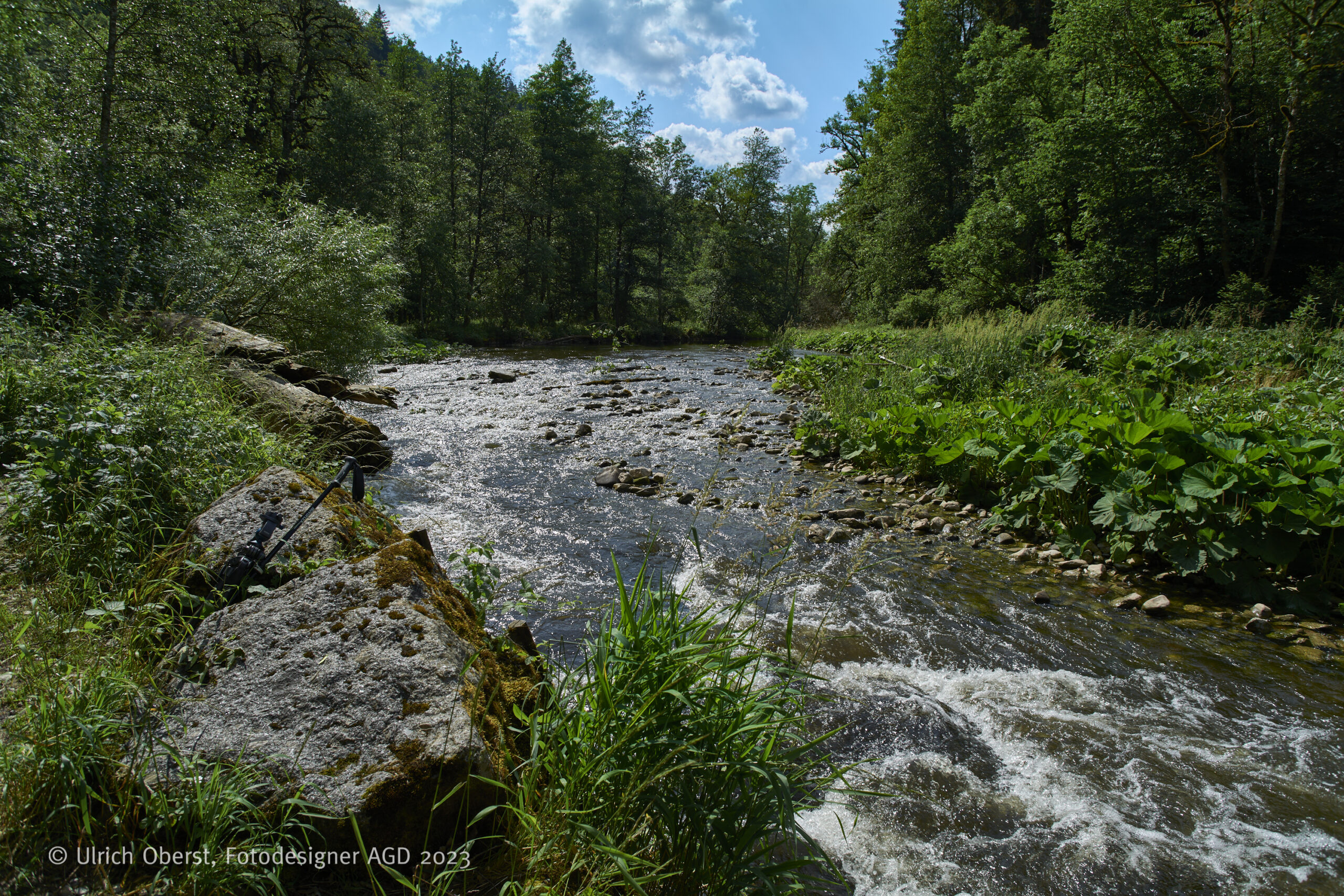 ©_Oberst_23-06-23_L1020898