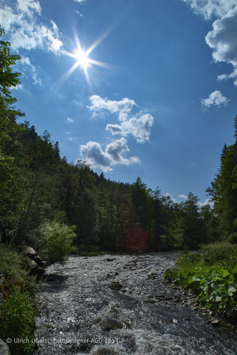 In Deutschlands größtem Canyon - Unterwegs mit dem Wutachranger - gerne mit Partner/in – Bild 27