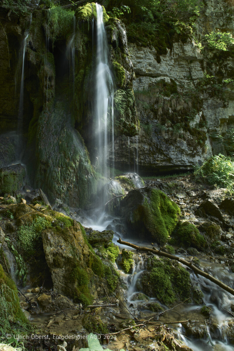 In Deutschlands größtem Canyon - Unterwegs mit dem Wutachranger - gerne mit Partner/in