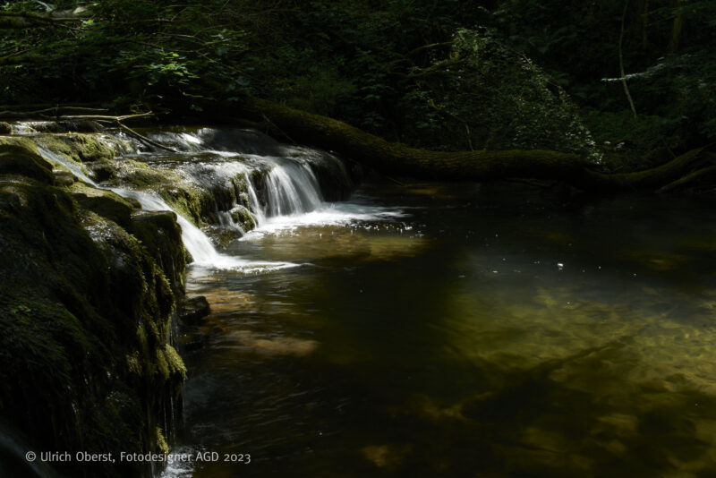 In Deutschlands größtem Canyon - Unterwegs mit dem Wutachranger - gerne mit Partner/in – Bild 11