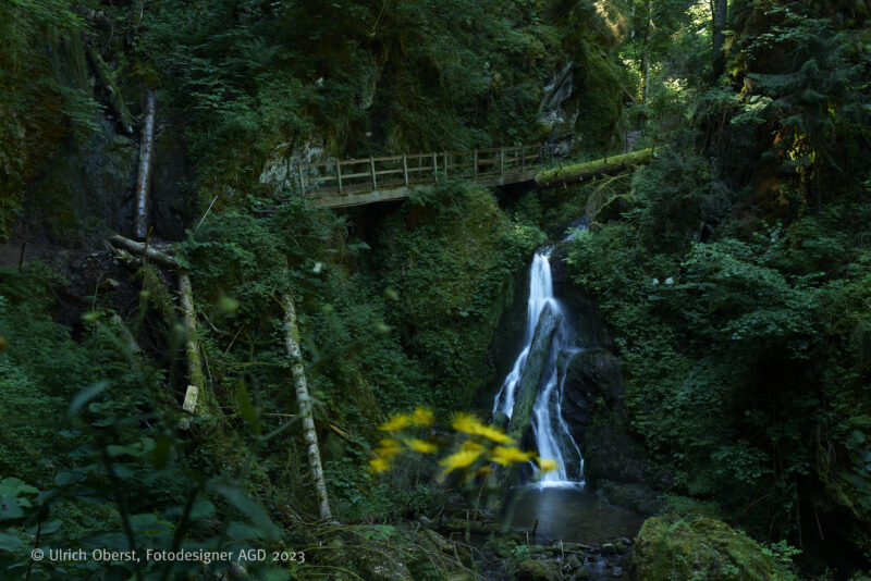 In Deutschlands größtem Canyon - Unterwegs mit dem Wutachranger - gerne mit Partner/in – Bild 9