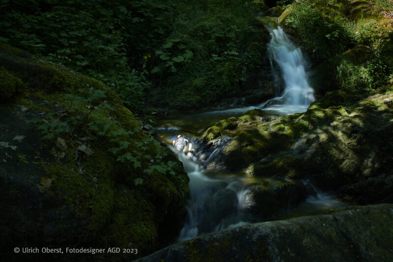 In Deutschlands größtem Canyon - Unterwegs mit dem Wutachranger - gerne mit Partner/in – Bild 8