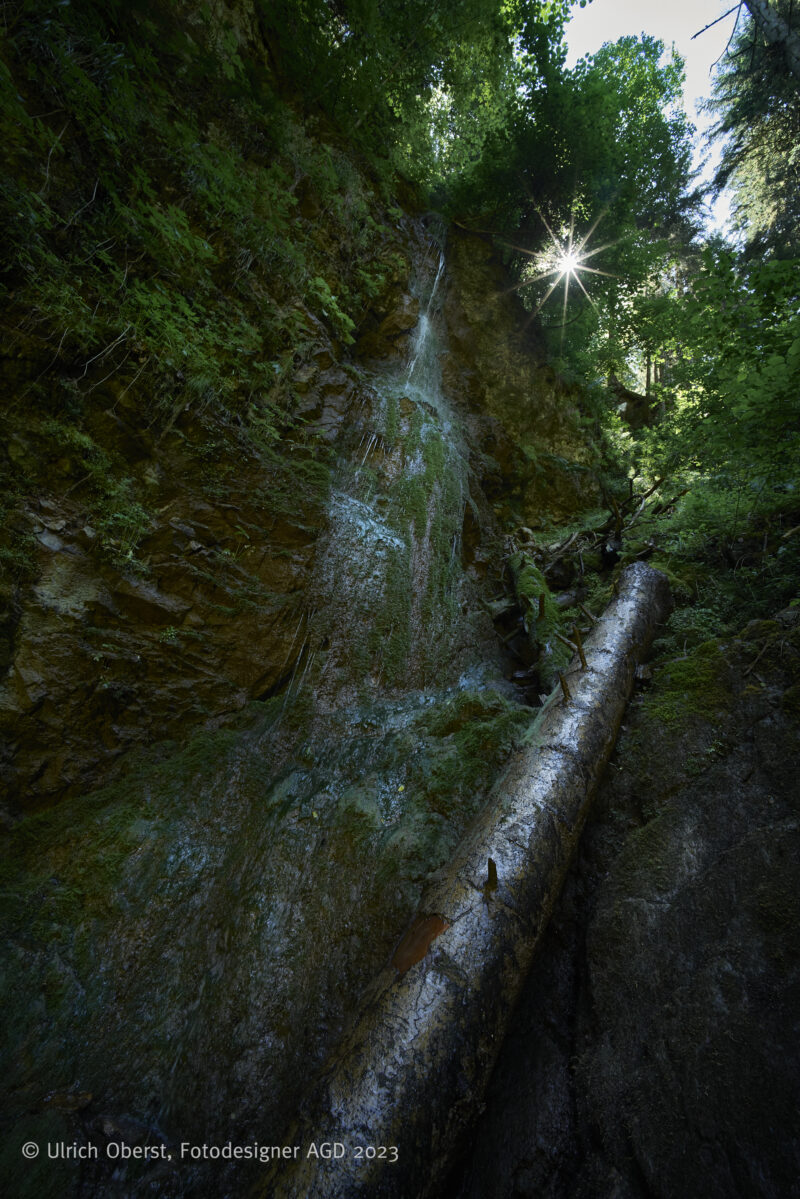 In Deutschlands größtem Canyon - Unterwegs mit dem Wutachranger - gerne mit Partner/in – Bild 7