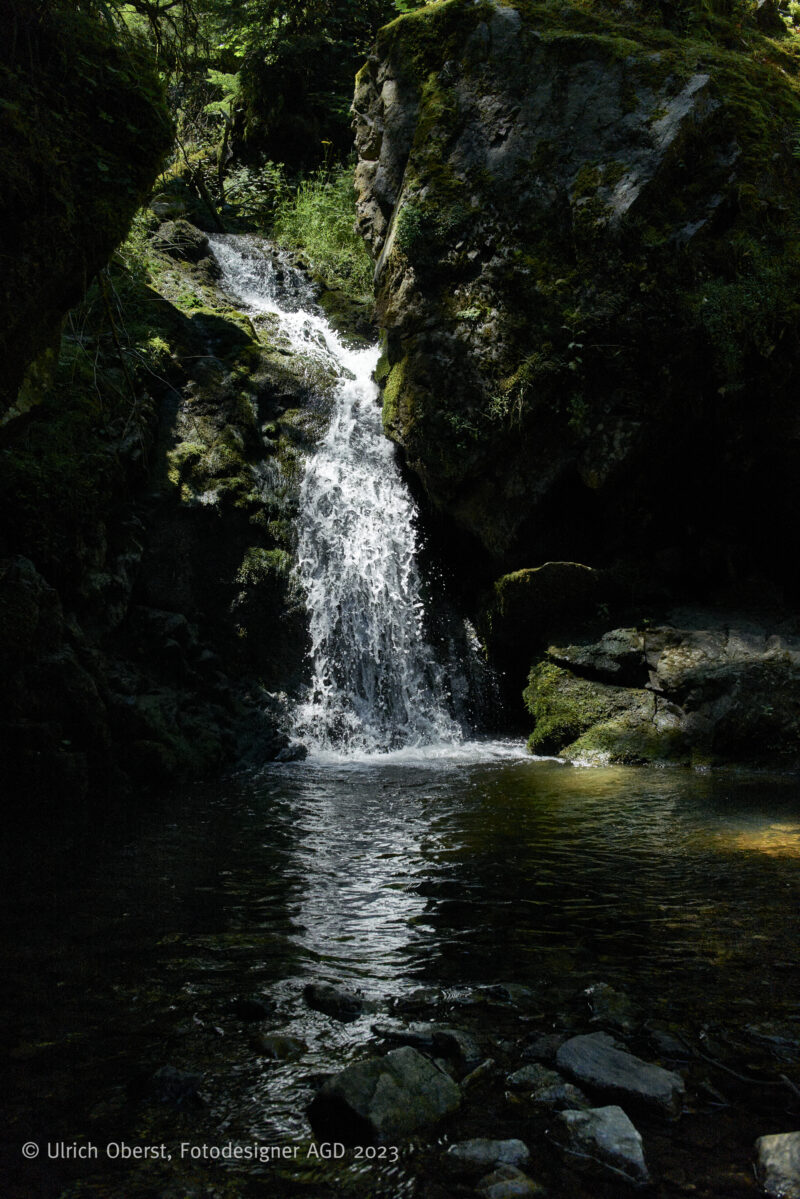 In Deutschlands größtem Canyon - Unterwegs mit dem Wutachranger - gerne mit Partner/in – Bild 6