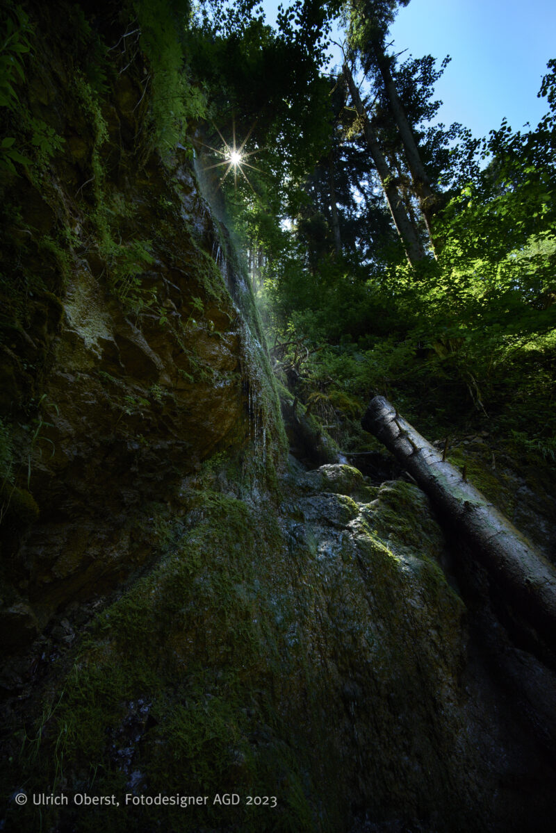In Deutschlands größtem Canyon - Unterwegs mit dem Wutachranger - gerne mit Partner/in – Bild 5